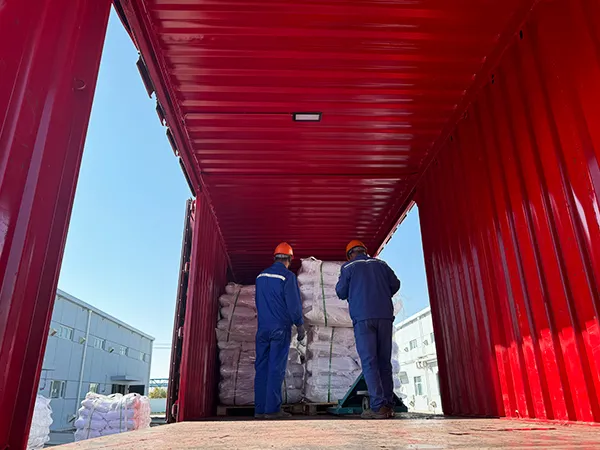 Logistics & Inspection